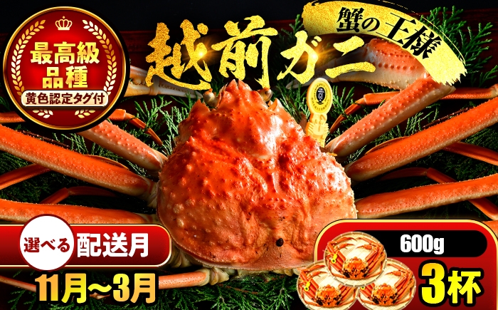 
            【先行予約】 【希望月指定可】 越前がに 600ｇ×3杯 / 蟹 ズワイガニ ずわいがに ボイル 冷蔵 小浜市 / まるほ商店 【配送不可地域：北海道・沖縄・離島】[BFCS020]
          