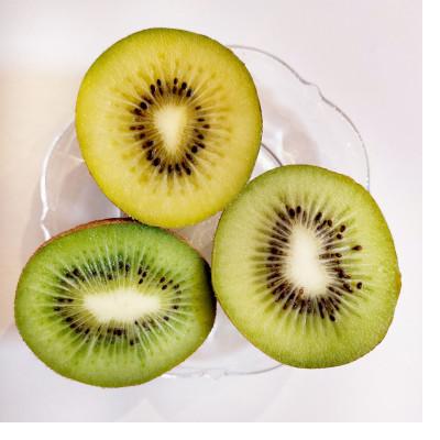 ふるさと納税 十和田市 青森県十和田市産　キウイフルーツ3種セット