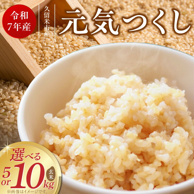 【ふるさと納税】【令和7年産 新米】元気つくし 玄米 選べる 内容量 5kg 10kg 福岡県産 ブランド米 鮮度抜群 新鮮 福岡生まれ 品種 香り豊か ふっくら 食感 ご飯 おにぎり 弁当 お米 食品 お取り寄せ 九州 久留米産 福岡県 久留米市 送料無料