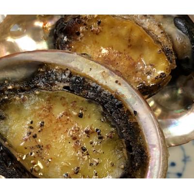 ふるさと納税 八幡浜市 八幡浜発!竹中水産の「アワビ三昧大サイズ」400g(鯛もしくはアジとセット)【F22-214】 |  | 03