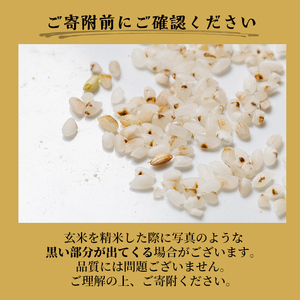 【C7082】上士別清流米 ななつぼし 玄米 (10kg) 米 お米 玄米 北海道米 ごはん ななつぼし 北海道産 士別産 10kg 【合同会社T&M】