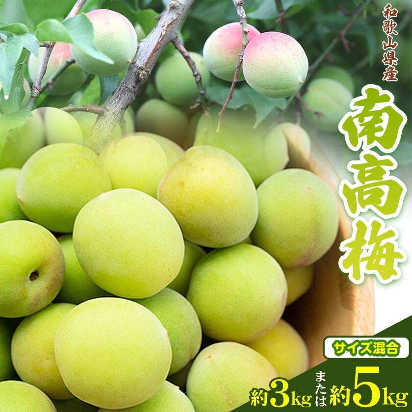 【ふるさと納税】和歌山県産南高梅 選べる内容量 約3kg または 約5kg（サイズ混合）厳選館《2026年6月上旬-6月下旬頃出荷》和歌山県 日高町 うめ ウメ 梅 南高梅 和歌山県産 紀美野町【配送不可地域あり】