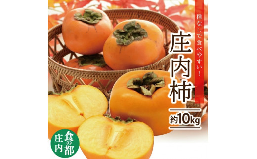 庄内柿　約10kg(5kg×2箱) 50～62玉入 L～4Lサイズ SC0690