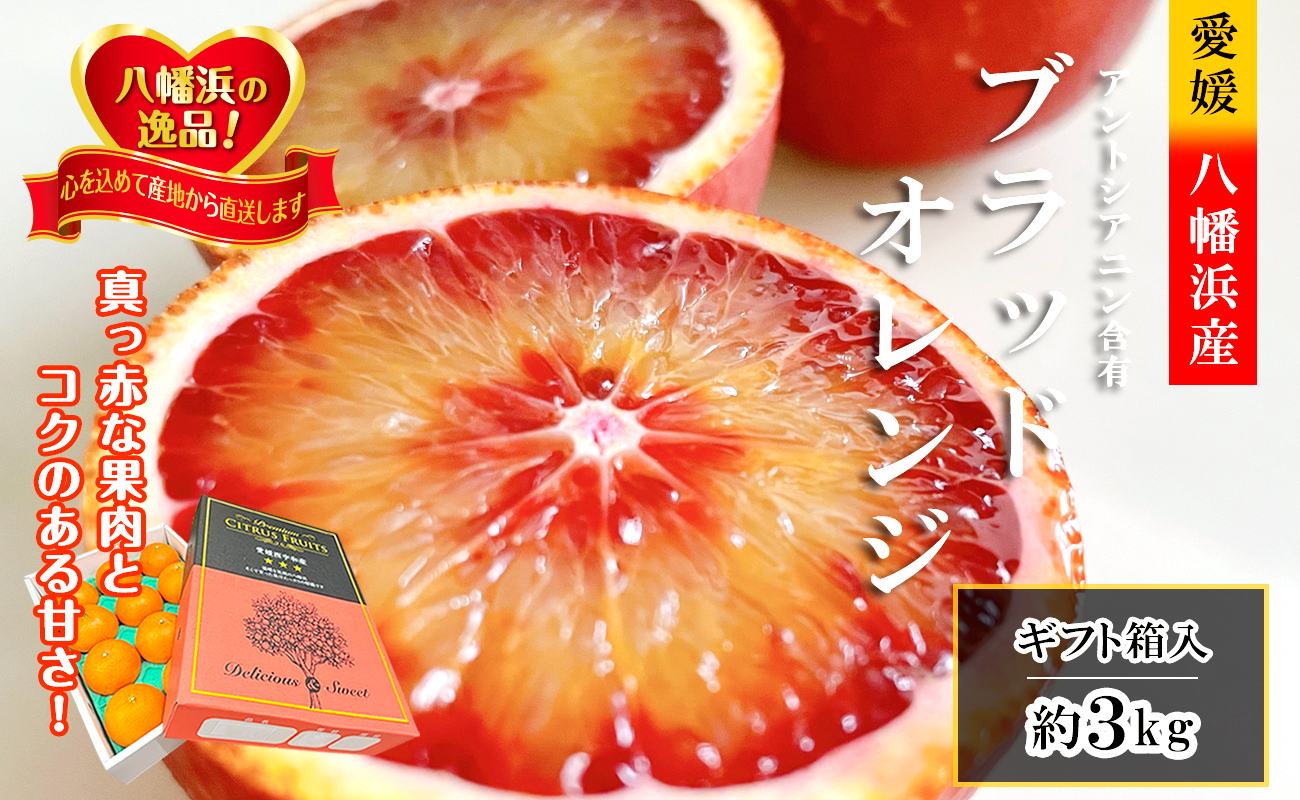 【ふるさと納税】2026年3月出荷開始　アントシアニン含有!「ブラッドオレンジ」約3キロ 【C39-9】_ ブラッドオレンジ オレンジ 果物 くだもの フルーツ 果実 青果 旬 濃厚 高糖度 3kg 国産 愛媛 【配送不可地域：離島】【1280627】YWTF003