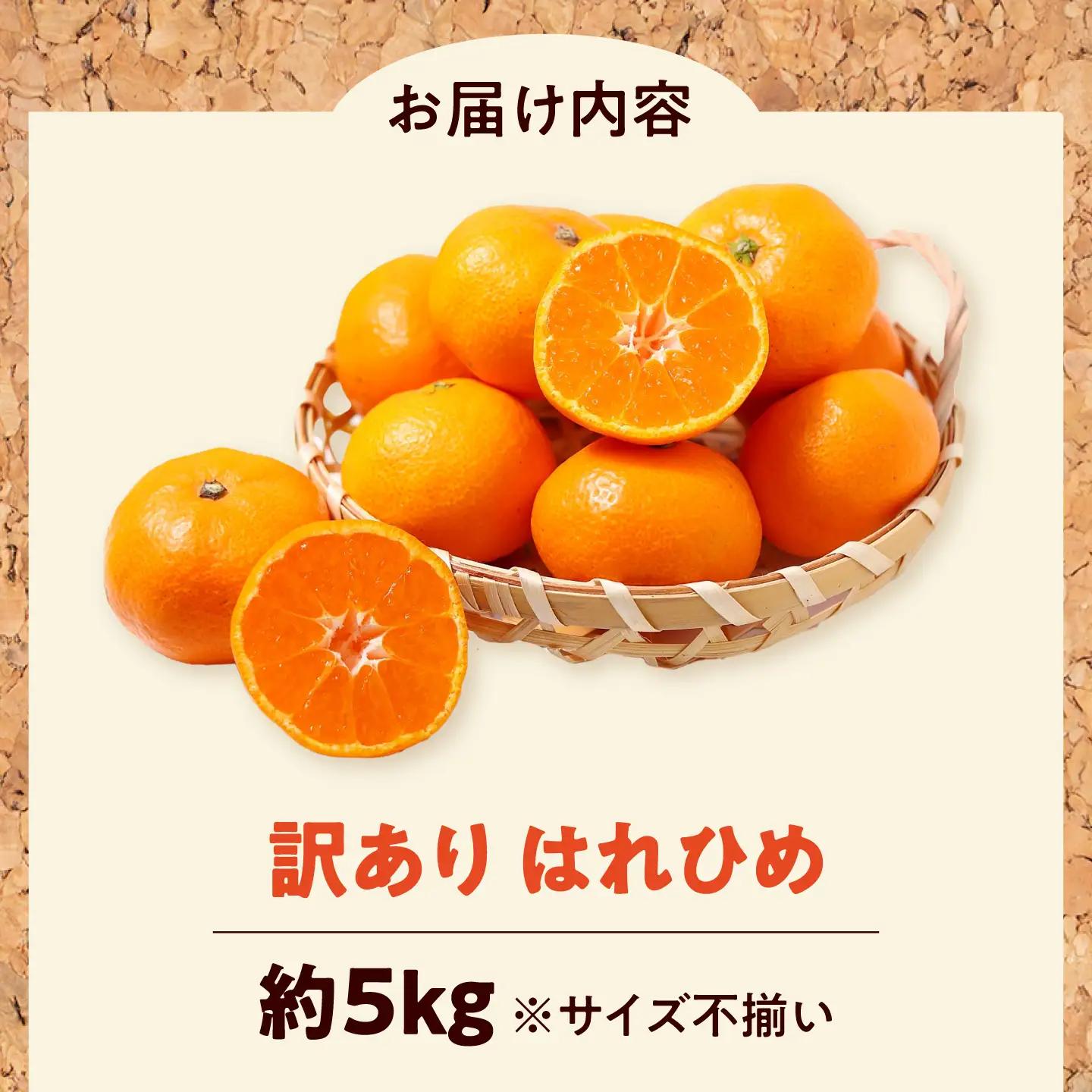 みかん 訳あり はれひめ 約5kg サイズ不揃い【12月上旬から翌年1月上旬まで順次発送】 / フルーツ 果物 蜜柑 ミカン オレンジ 訳あり 訳アリ 小玉 甘い 先行予約 5kg 愛媛 / 愛媛県砥