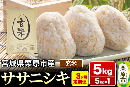 《定期便3ヶ月》【令和7年産・玄米】宮城県産 ササニシキ 毎月5kg (5kg×1袋)×3ヶ月