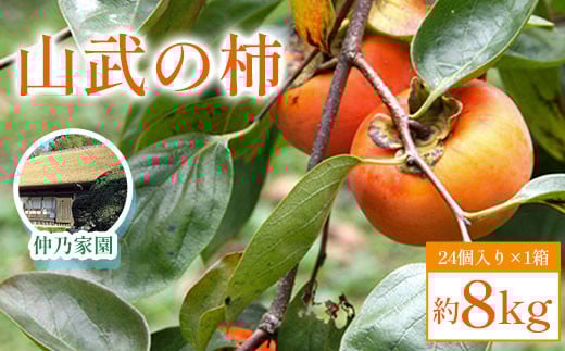 【先行予約2025年10月下旬発送開始】山武の柿 約8kg(24個入り×1箱) 【 ふるさと納税 人気 おすすめ ランキング 柿 かき カキ 果物 フルーツ 秋の味覚 旬の果物 くだもの 千葉県 山武市 送料無料 】SML001