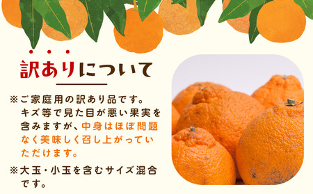 ［先行予約］家庭用 不知火7.5kg+250g（傷み補償分）［デコポンと同品種・人気の春みかん］［わけあり・訳あり］