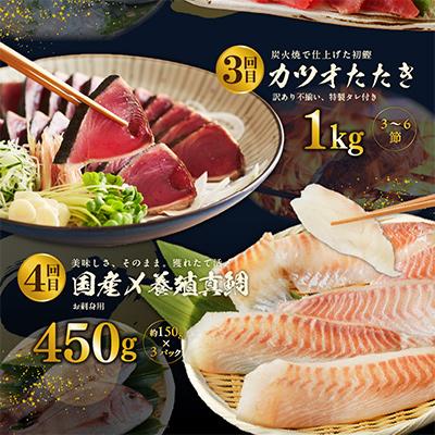 ふるさと納税 泉佐野市 【毎月定期便】泉佐野厳選 豪華海鮮をお届け(サーモン まぐろ かつお 真鯛)全4回 099Z161 |  | 02