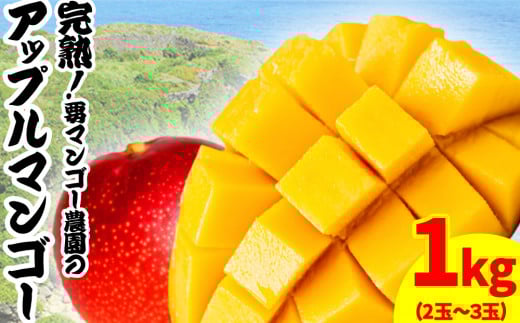要マンゴー農園の完熟アップルマンゴー　１kg　２玉～３玉【2025年発送】　アップルマンゴー　希少　アーウィン　甘い　完熟　爽やか　マンゴー　沖縄　うるま市　太陽　南国