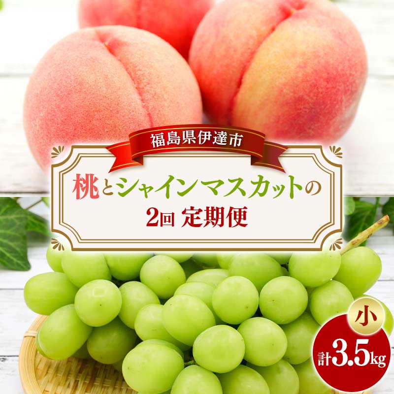 ＜2026年夏から開始の定期便＞桃とシャインマスカットの定期便 (小) 福島の桃 果物 先行予約 フルーツ 桃 モモ もも 葡萄 ブドウ ぶどう 福島県 伊達市 もも モモ momo  F20C-785