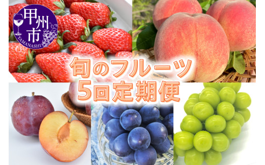 【定期便】甲州市産 旬のフルーツ5回定期便（KSB）E4-101 【桃 もも モモ 貴陽 すもも スモモ 黒ぶどう シャインマスカット 葡萄 ぶどう ブドウ 山梨県産 甲州市 フルーツ 果物】
