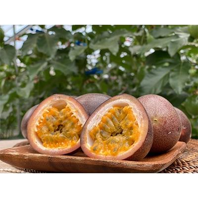 ふるさと納税 宮崎市 8年かけて誕生した宮崎県産パッションフルーツ　M　2kg