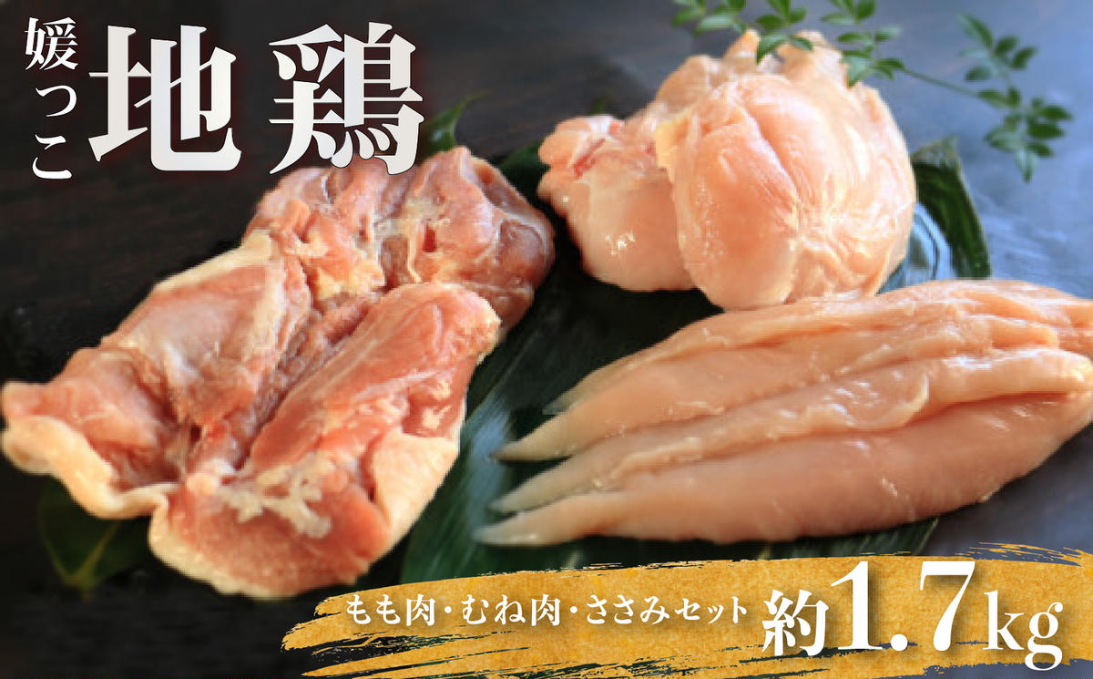 地鶏 愛媛 媛っこ地鶏 もも むね ささみセット 約1.7kg 鶏肉 鳥肉 肉 チキン むね肉 もも肉  焼肉 焼き鳥  BBQ 冷凍 国産 高級 タンパク質 低脂肪 糖質 唐揚げ チキン南蛮 サラダチキン スープ 出汁 ダイエット 愛南町 送料無料 ローカルスタンダード