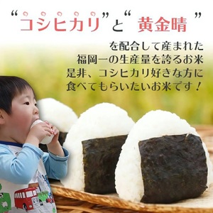 令和7年産　無洗米　久留米産ヒノヒカリ 10kg 〔Gr024〕