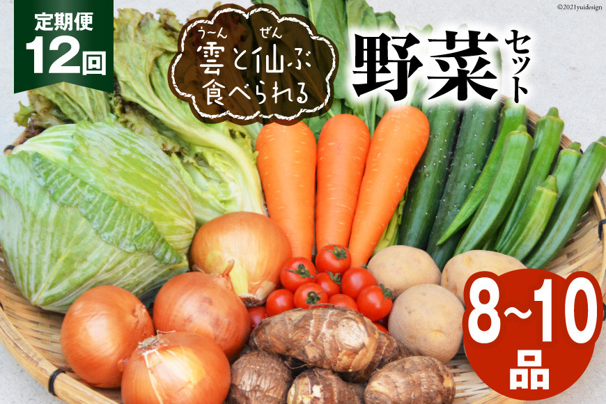 
            12回 定期便 雲（う～ん）と仙（ぜん）ぶ食べられる 野菜セット 8～10品 [肥前グローカル 長崎県 雲仙市 item2203] 野菜セット 野菜 セット 詰め合わせ
          