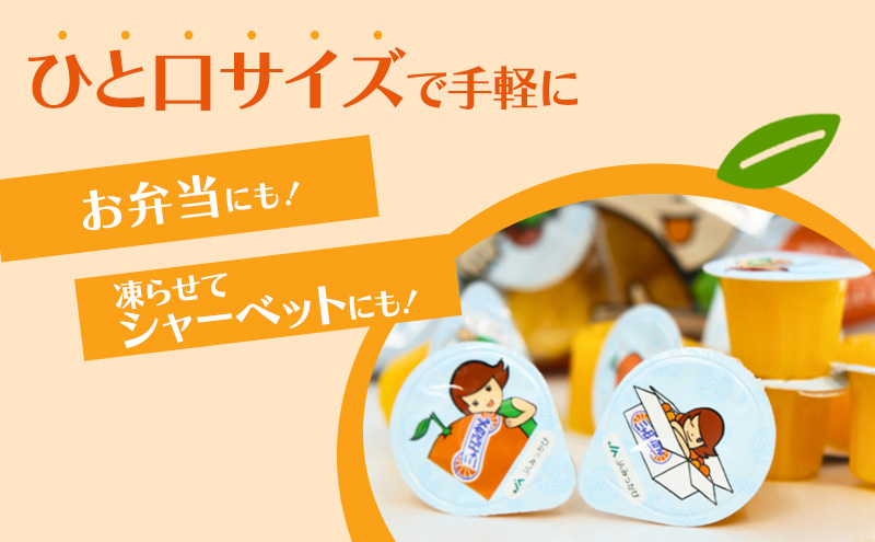 ミカちゃんのおやつゼリー 30個入×4袋 ゼリー みかん ミカ