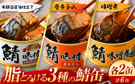 【年内配送】鯖缶詰6缶詰め合わせB / さば缶 缶詰 サバ 魚 小浜市 / 福井缶詰   [BFAB032]