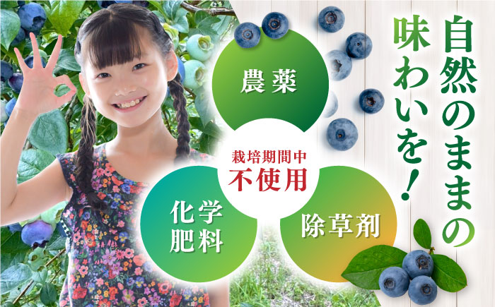 【全3回定期便】旬の美味しさそのまま！冷凍 完熟ブルーベリー 計1kg (約500g×2パック) 【マルク ザ・ガーデン】 [YDI002]
