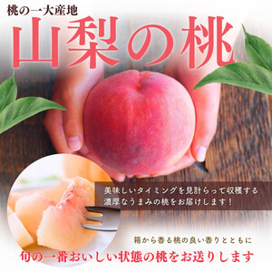 旬最終！シャキッと固い桃　山梨の桃　約2kg　シーズン最後の山梨県民の大好きな固い品種【tab0182】