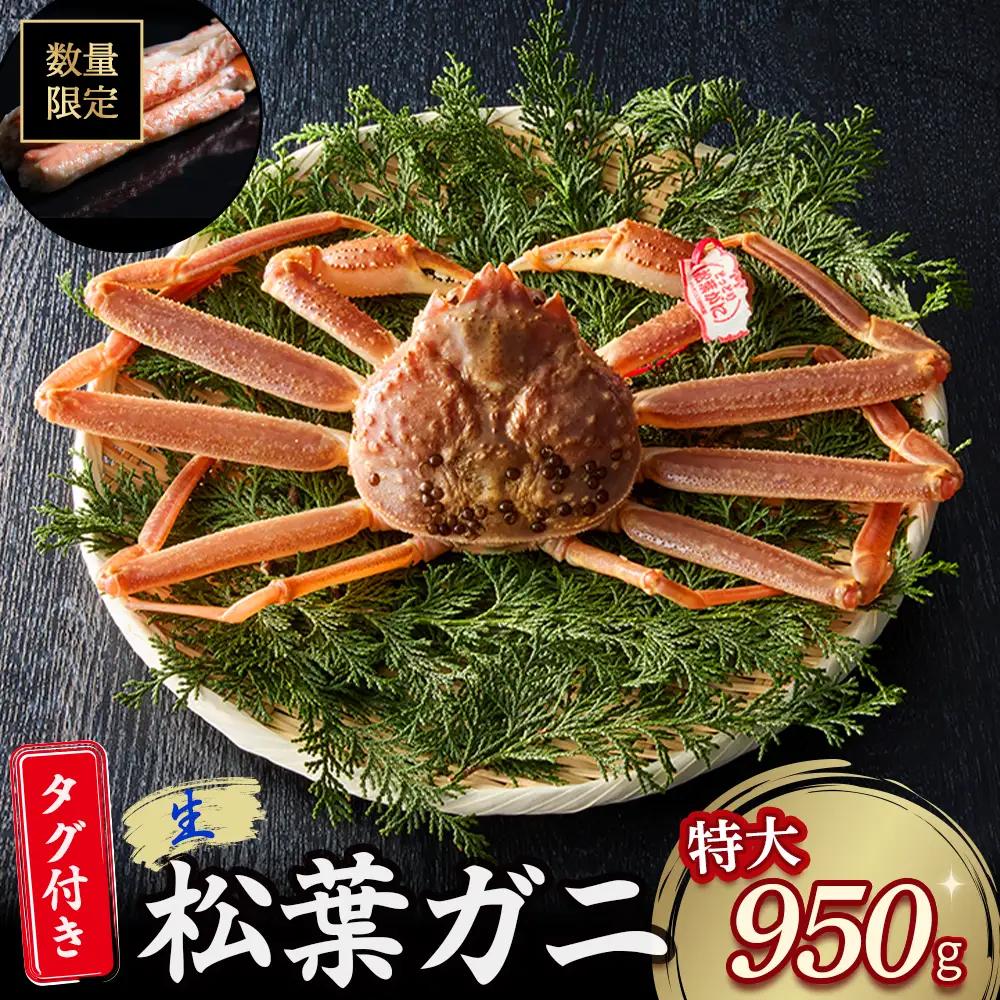 【先行予約】【魚倉】タグ付き生松葉ガニ（特大950g） かに 蟹 カニ