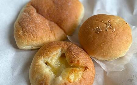 手作り 柔らかパンセット 10個 冷凍 パン 冷凍食品 おまかせ ギフト ティータイム こだわり 手作り 北海道 釧路 F4F-8509
