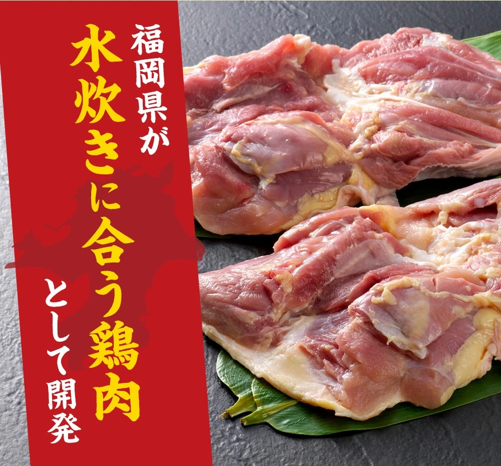 福岡限定！はかた地どり美人水炊きセット 2～3人前 はかた地どり 地鶏 郷土料理 コラーゲン 水炊き お手軽 簡単 福岡県 八女市