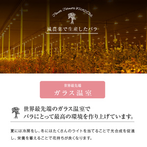 【定期便：12カ月】國枝バラ園から直送！Flower Bouquet（20本の花束）濃いピンク系　　薔薇 ばら バラ 花束 お祝い プレゼント 誕生日 ギフト 贈答 記念日 クニエダ株式会社 AN-0
