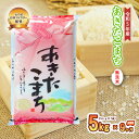 【ふるさと納税】【9か月定期便】盛岡市産あきたこまち【無洗米】5kg×9か月　定期便・米・無洗米