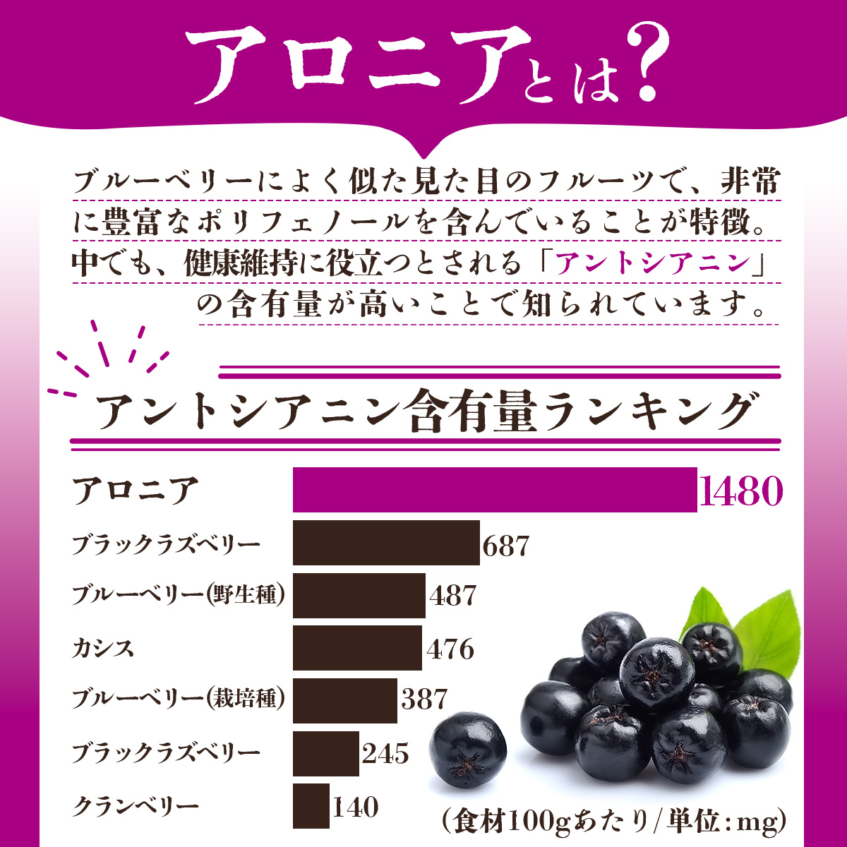北海道 アロニア果汁 1000ml 1本 伊達大滝産 アロニア 果汁 ジュース ソース スムージー ジャム 果実飲料 飲料 飲み物 フルーツ おやつ デザート 土産 贈答用 ギフト プレゼント お取り