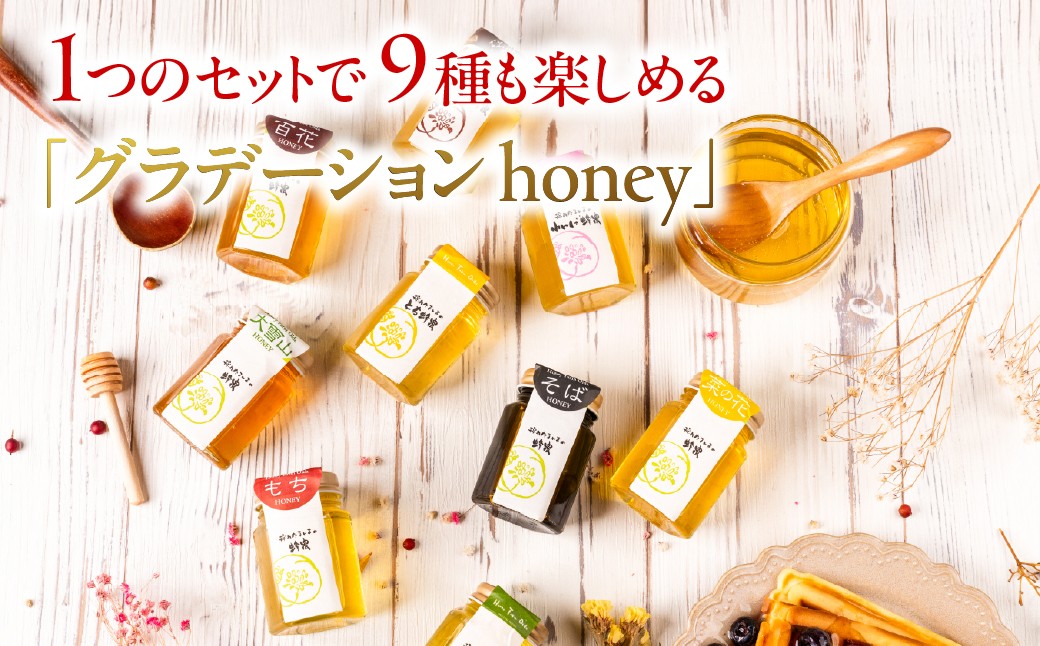 
                  【国産蜂蜜】グラデーションhoney（9種類 各1本）　｜ はちみつ 蜂蜜 ハチミツ 純粋はちみつ 天然はちみつ 国産はちみつ 非加熱はちみつ 生はちみつ はちみつ 蜂蜜 ハチミツ 非加熱 無添加 純粋 天然 完熟 濃厚 希少 保存 美味しい 岐阜県　大垣市
                