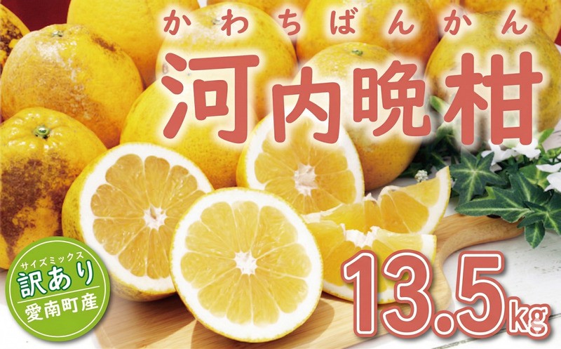 
                  訳あり 河内晩柑 13.5kg (サイズミックス) 13000円 傷み保証500g みかん かわちばんかん 愛南ゴールド あいなん ゴールド 美生柑 文旦 グレープフルーツ 和製 家庭用 産地直送 国産 農家直送 糖度 果樹園 期間限定 数量限定 特産品 ゼリー ジュース 人気 限定 さわやか 甘い フルーツ 果物 柑橘 蜜柑 規格外 愛南町 愛媛県 ミッチーのおみかん畑
                