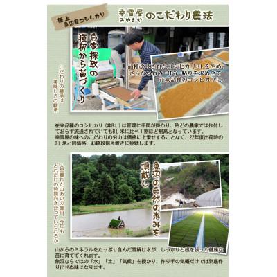 ふるさと納税 十日町市 魚沼産コシヒカリ非BL米 精米 計5kg |  | 01