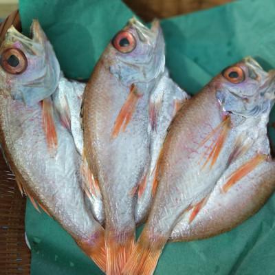 ふるさと納税 舞鶴市 のどくろ開き干し 計3枚