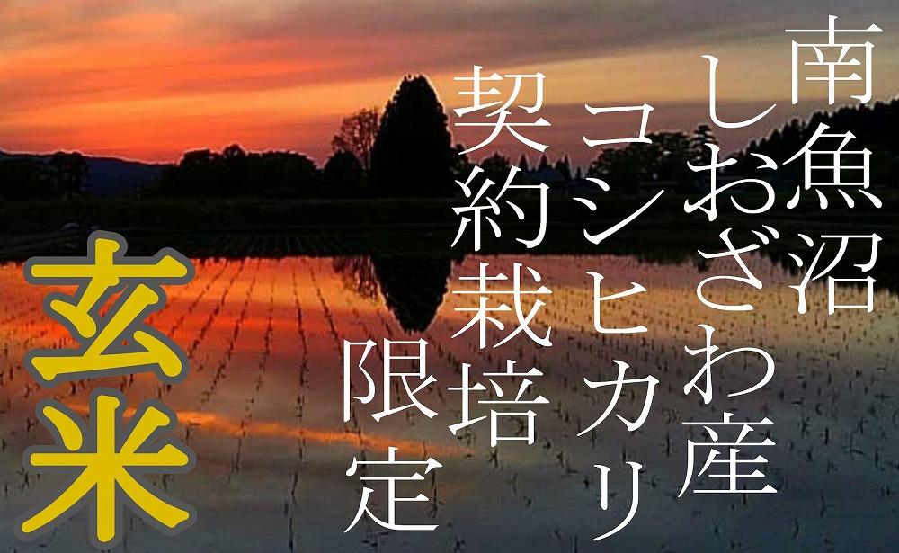 【令和7年産】【定期便6Kg×12ヶ月】●玄米● 生産者限定 南魚沼しおざわ産コシヒカリ