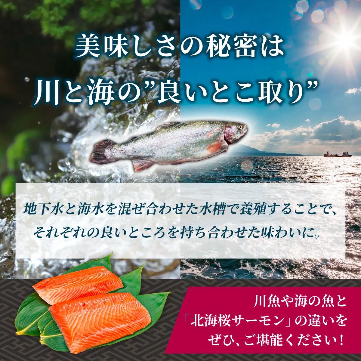 「陸上養殖」 北海桜サーモン ブロック 500g 冷凍 国産 北海道産 道産 松前産 トラウト サーモン 鮭 生鮭 刺身用 お刺身 生食用 柵 カルパッチョ サーモン丼 漬け丼 産地直送 お取り寄せ 