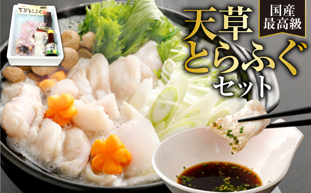 
                  国産 最高級!! 天草とらふぐセット 河豚 ふぐ トラフグ 刺身 刺し身 さしみ 魚 お魚 さかな 魚介
                