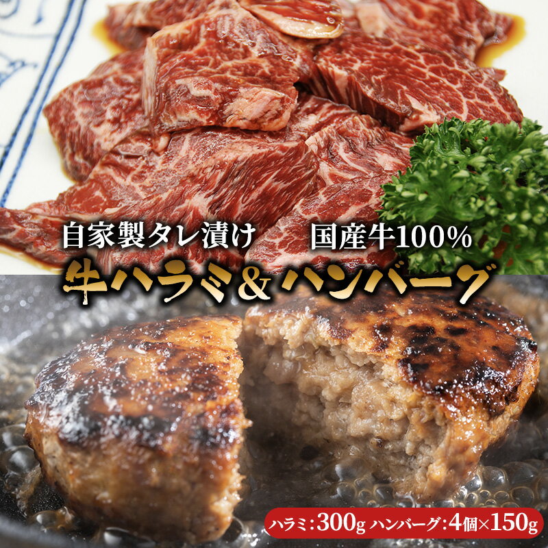 【ふるさと納税】ハラミ たれ漬け 300g ハンバーグ 150g 4個 セット 詰め合わせ 味付け肉 タレ 真空パック 焼肉 バーベキュー アウトドア 弁当 おかず 牛ハラミ 冷凍 惣菜 煮込みハンバーグ お肉 肉 牛肉 牛 手作り ギフト 贈り物 大阪 柏原市　 大阪府柏原市