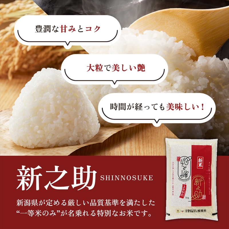 【4月上旬より配送】上越市産 新潟 新之助 5kg 6か月定期便 しんのすけ お米 精米 米 ご飯 定期