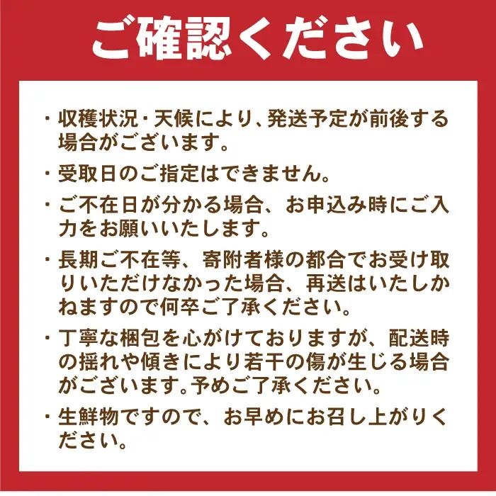 月2回お届け【24回定期便】諫早産 野菜の詰め合わせ 8・9品目程度 / 季節 旬 野菜 やさい 春野菜 夏野菜 秋野菜 野菜セット 詰め合わせ 野菜定期 野菜定期便 定期便 / 諫早市 / 肥前グロ