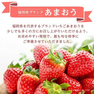 【数量限定】福岡県産 春採れあまおう 約270g×4パック【配送不可地域：離島】