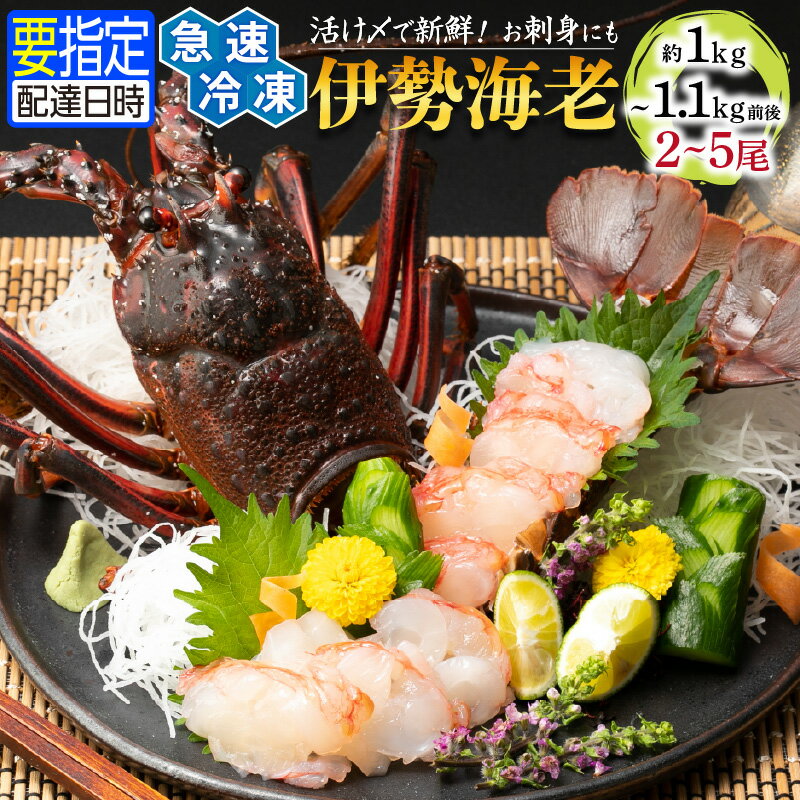 【ふるさと納税】文恵丸水産 熊野灘産活〆急速冷凍伊勢海老 竹 2～5尾 約1～1.1kg前後【急速冷凍した伊勢海老！解凍後はお刺身で食べられます。】