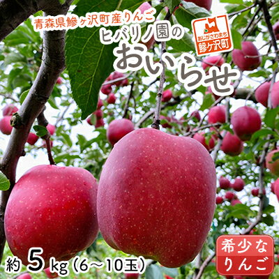 【ふるさと納税】りんご 青森 おいらせ リンゴ 約 5kg (6～10玉) 青森県 鰺ヶ沢町産 ヒバリノ園 フルーツ 果物 果物類 白神山地 林檎 2024 ※オンライン決済のみ 　お届け：2025年10月12日～10月25日