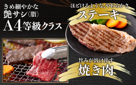 【肉の定期便×12回コース】肉好き大集合！若狭牛食べ比べ 定期便！【福井のブランド牛肉】【4等級以上】[O-054001]