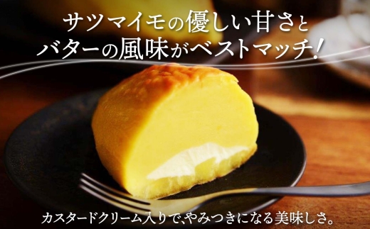 北海道スイートポテト 250g×2箱 | サツマイモ バター 北海道 札幌市