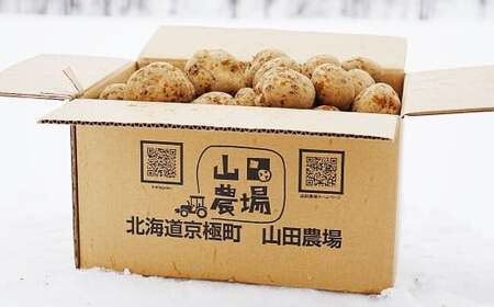 【訳あり】 北海道産 じゃがいも （キタアカリ） 約3kg 山田農場 【2025年9月下旬～2026年3月上旬迄発送予定】 きたあかり 栗じゃが ジャガイモ 芋 いも 野菜 やさい 北海道 京極町 常
