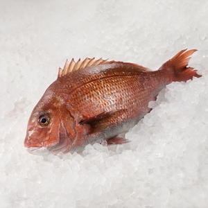 【計12回お届け】玄海町よりどり定期便（松）