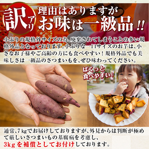 a732 《訳あり》畑の金貨・鹿児島県産生芋紅はるか7kgと補償3kg 合計10kg(小さ目サイズ)【甘いも販売所】