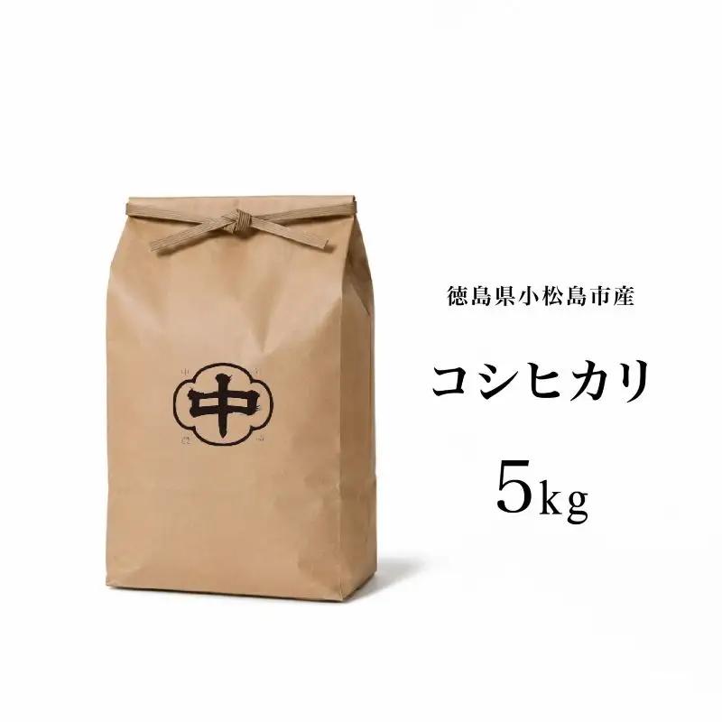 【2026年8月下旬順次発送】令和8年産 新米コシヒカリ 5kg 白米 米 数量 限定 こしひかり 5キロ 米5kg ごはん こめ コメ はくまい okome kome おむすび おにぎり 国産 飯 