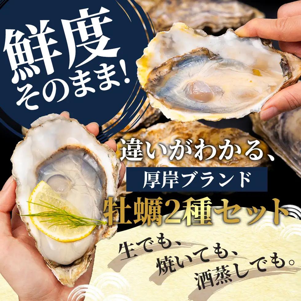 北海道 厚岸産 ブランド 殻付牡蠣 食べ比べ 弁天牡蠣 A3サイズ カキえもんLL サイズ 各6個 生食用 [ 牡蠣 カキ かき 生食 生食用 生牡蠣 食べ比べ 魚貝類 ブランド牡蠣 ]